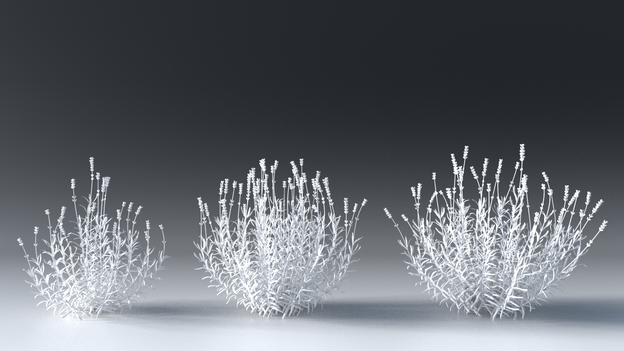 Graphic Work - Branch