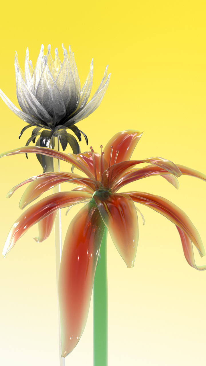 Beautiful Flower